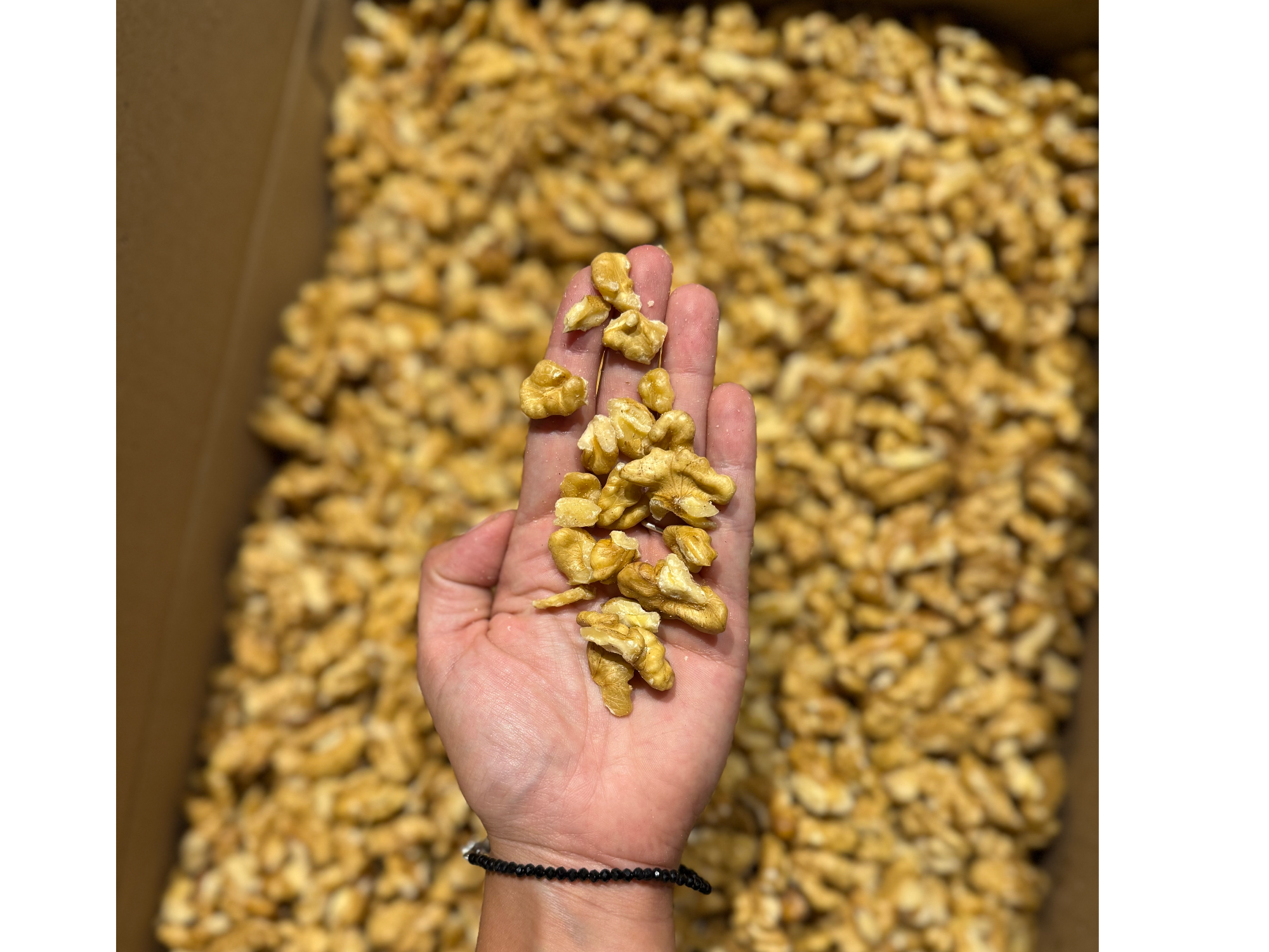 Nuez extra light partida ¡COSECHA 2026!