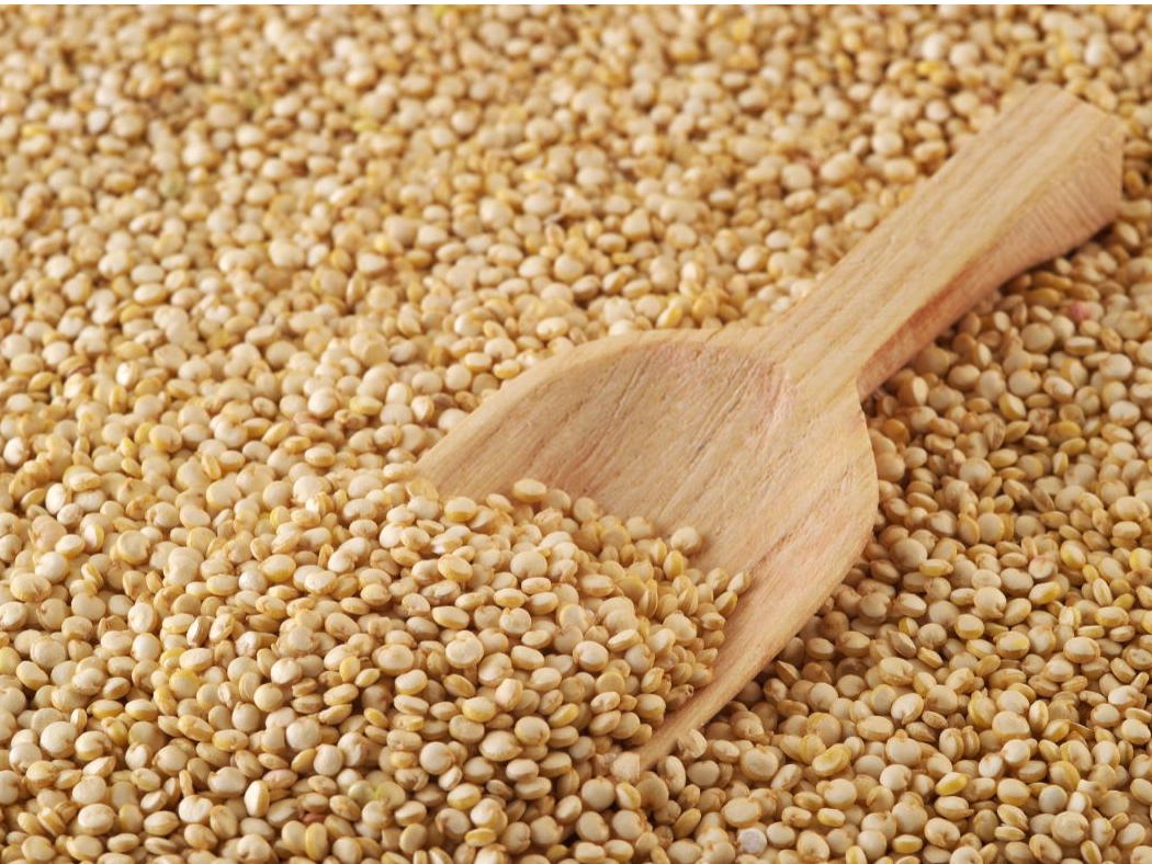 Semillas de quinoa boliviana