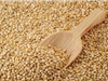 Semillas de quinoa nacional
