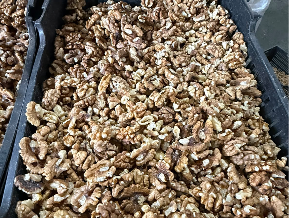 Nuez blanca entera de Frutos Secos Nueva Mayorista
