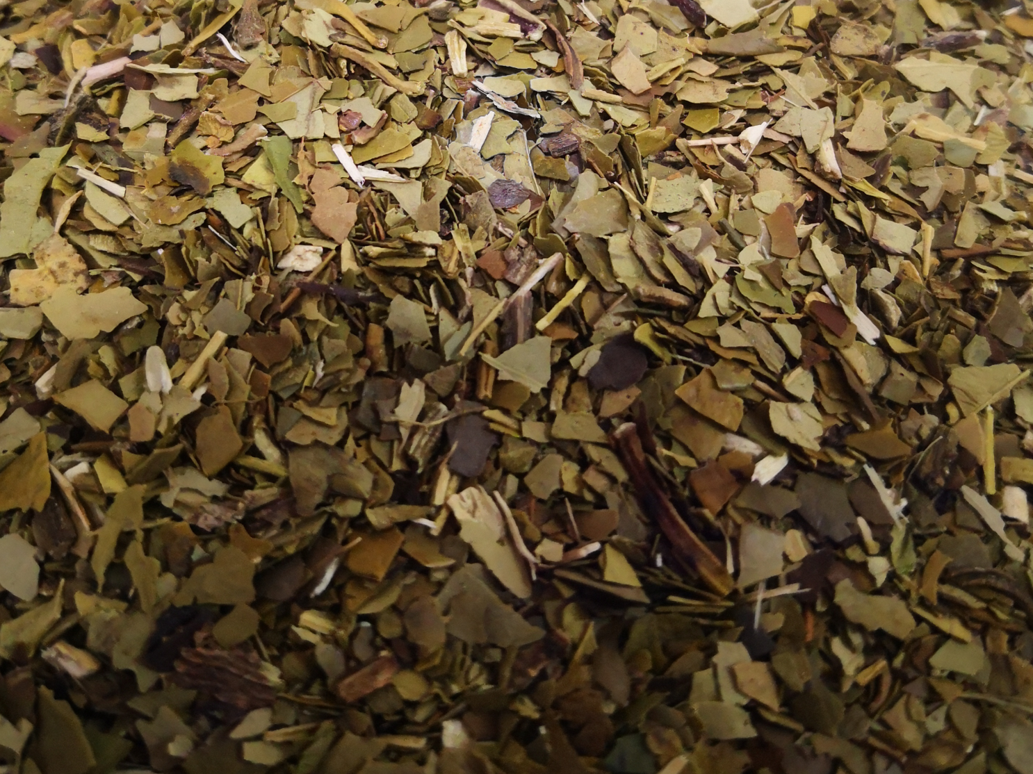 Yerba Ajedrez premium canchada