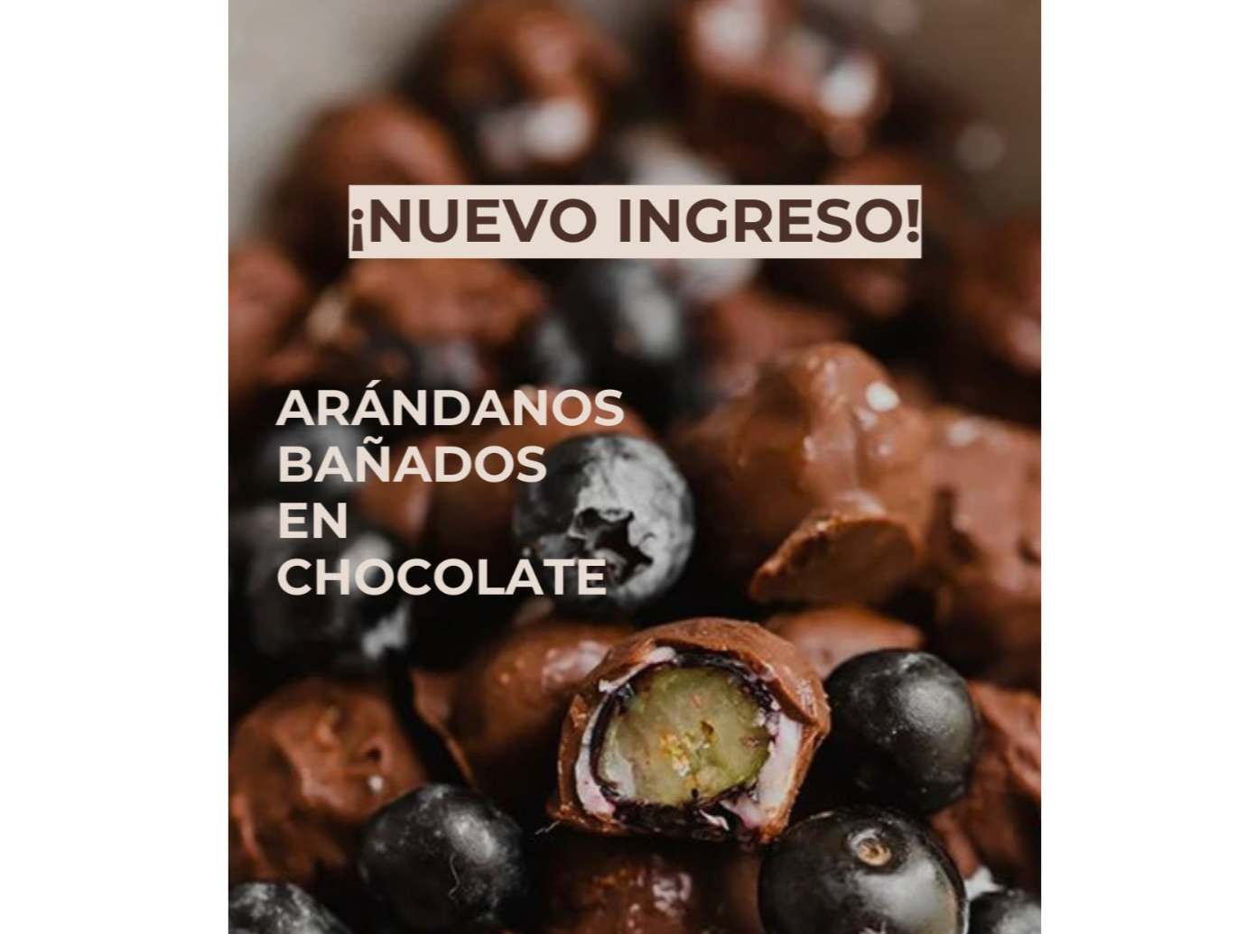 Arándanos con chocolate dúo