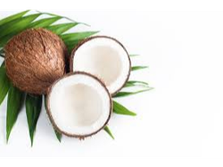 Jabón Tocador Líquido COCO