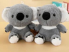 K - Koala