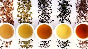 Yerba / Azucar / Infusiones