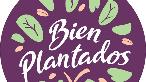 BIEN PLANTADOS-Medallones Veggies