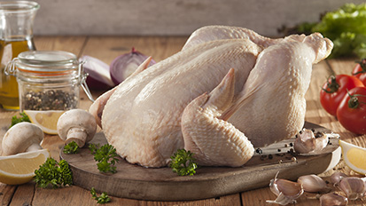PRODUCTOS DE POLLO