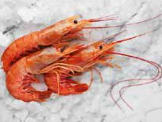 Langostino Entero x 2 Kg