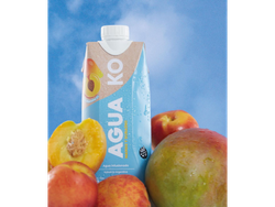 KO Agua Infusionada 500ml Mango y Durazno x 12un