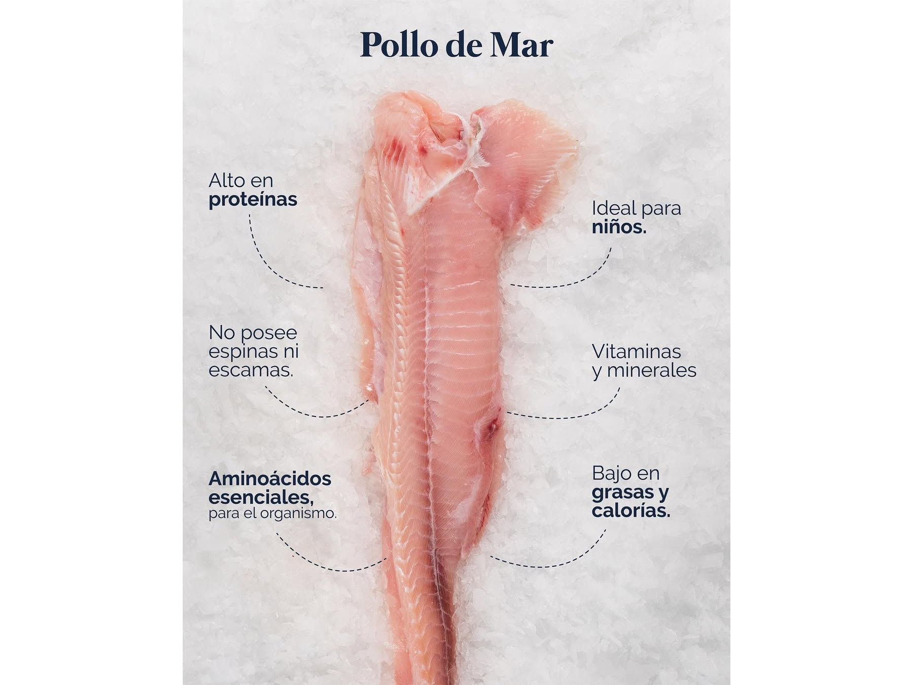 Pollo de Mar x 10kg