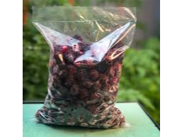 Moras Congelada x 1 Kg -