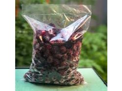 Moras Congelada x 1 Kg -