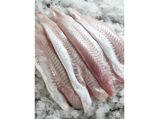 Filet de Merluza Interfoliado CONGELADO PLACA X 7 KG