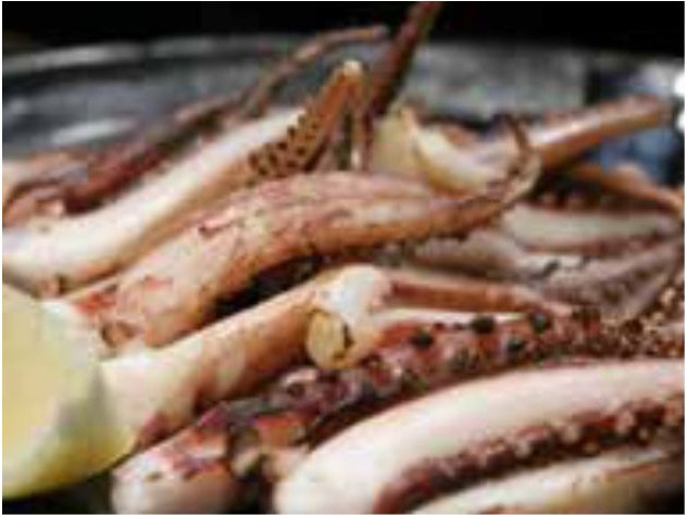 Tentáculo de Calamar IQF x 1 KG