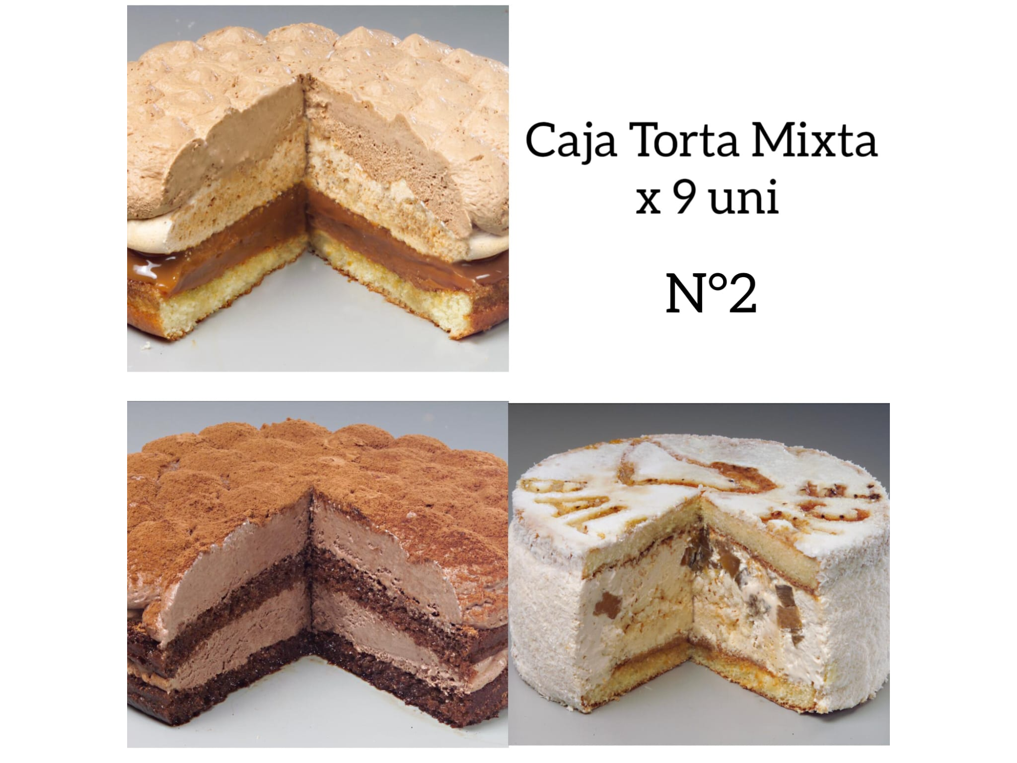 Caja N°2 Torta Mixta Cm2 (Duomo DDl-Tir Cho-Vai) x 9 un.