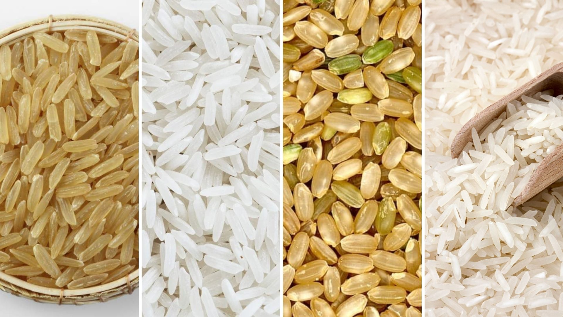 ARROCES Y CEREALES