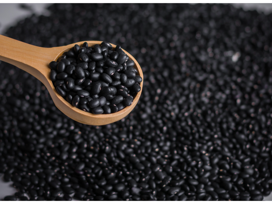 POROTO NEGRO