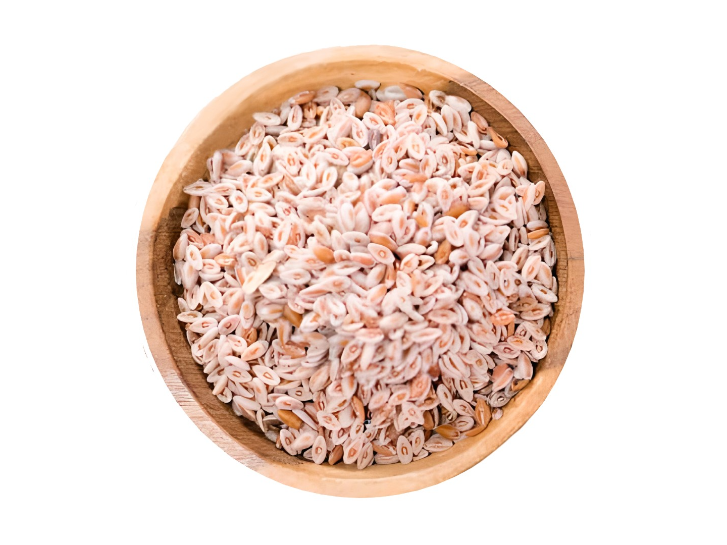 PSYLLIUM/ZARAGATONA