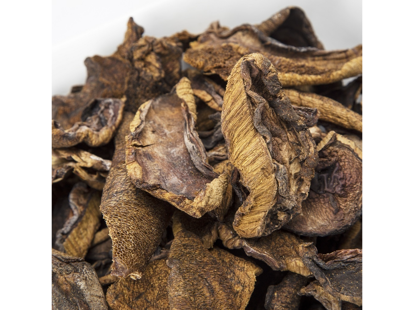 HONGOS DE PINO