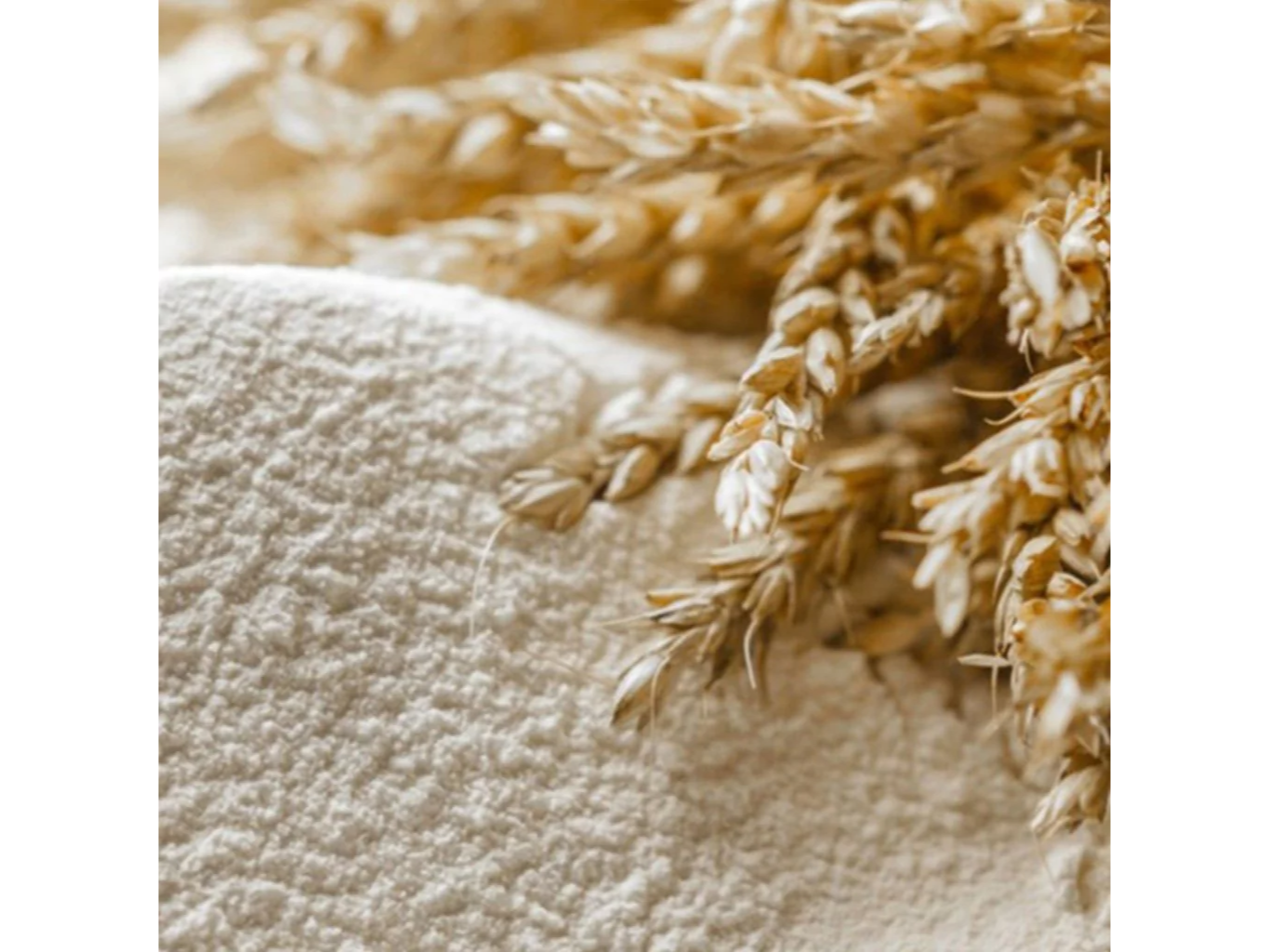 GLUTEN PURO