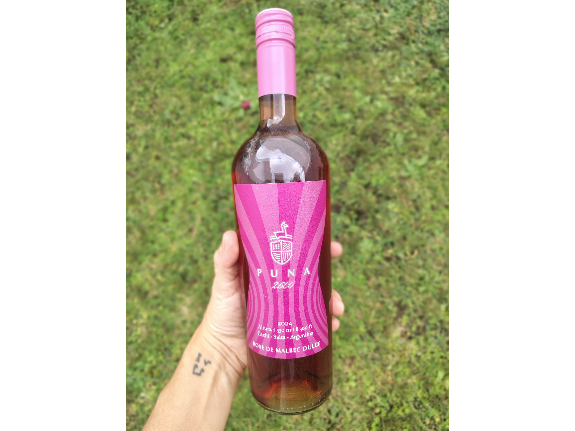 PUNA 2600 | Malbec Rosé Dulce