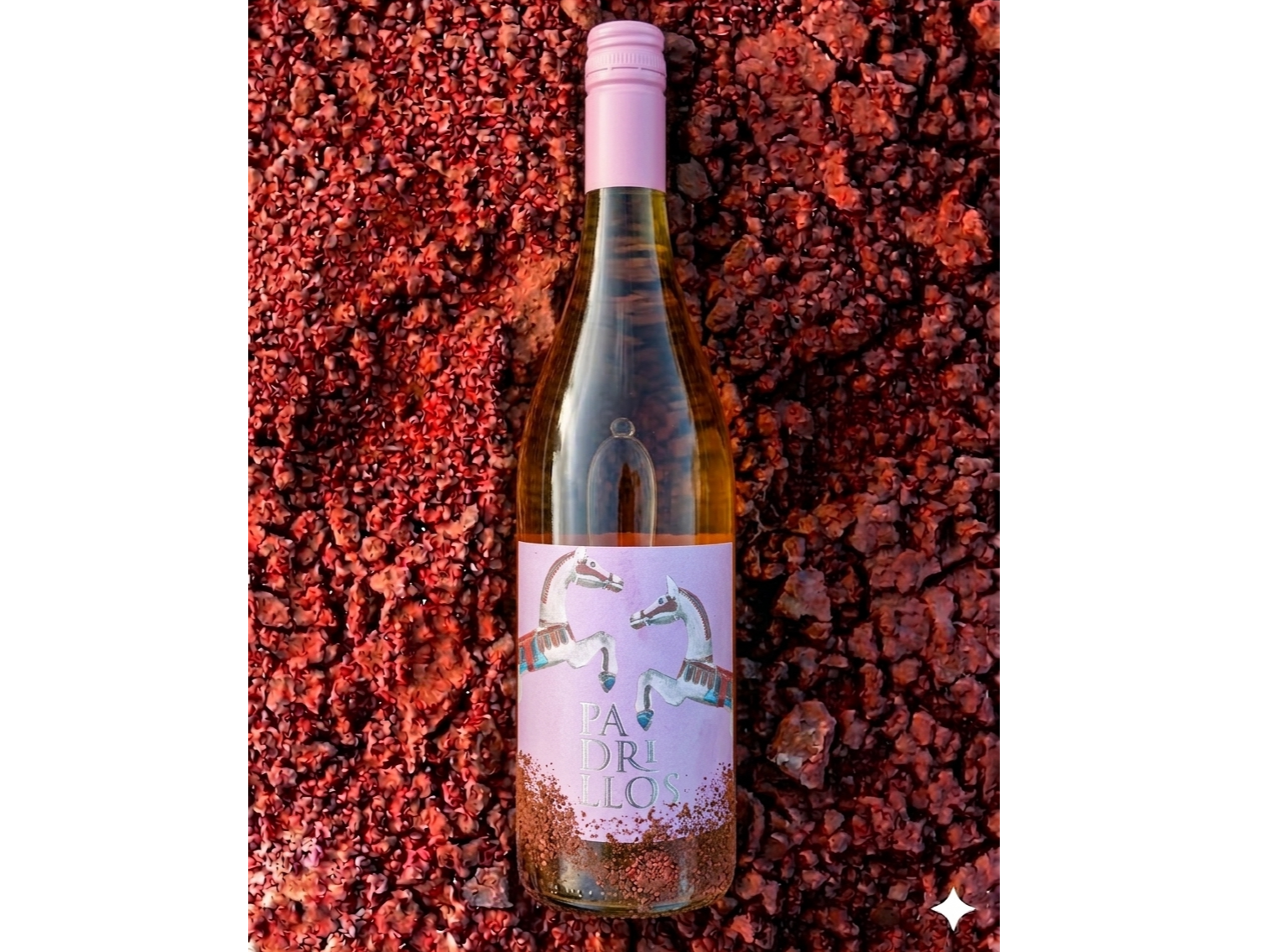 PADRILLOS | Rosé