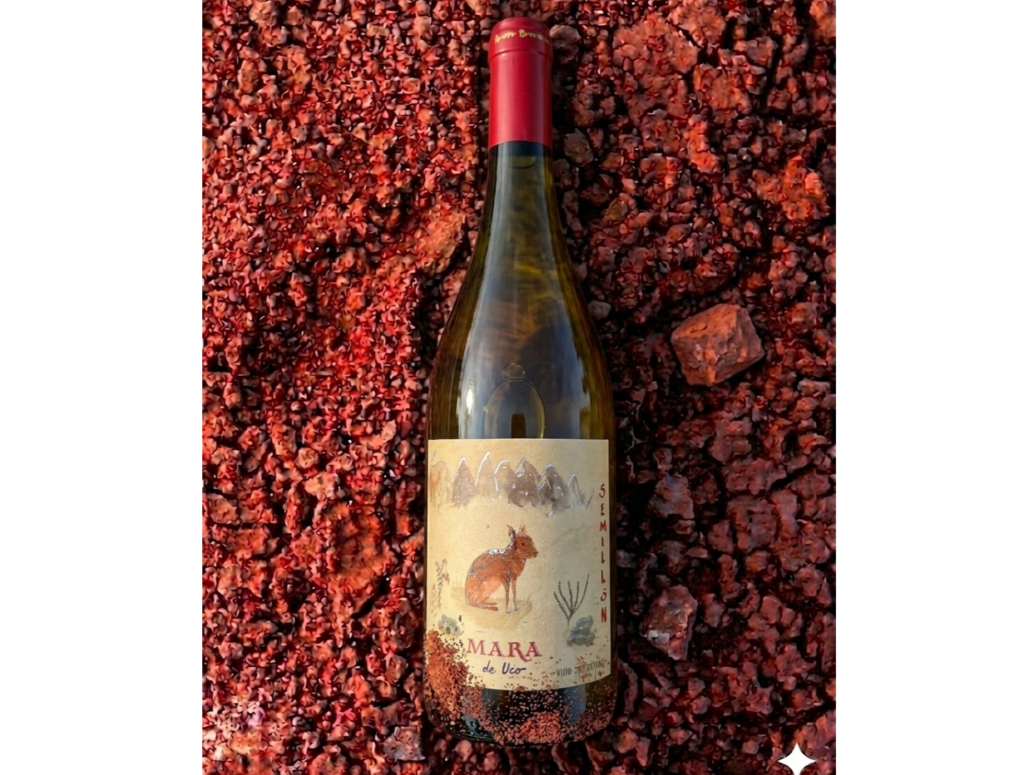 MARA| Semillón