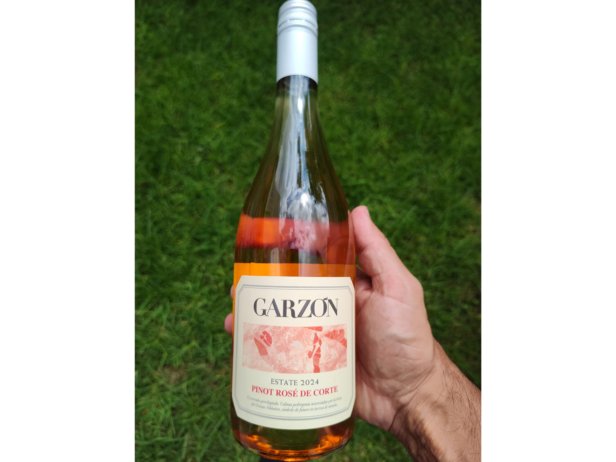 GARZON | Pinot Rosé