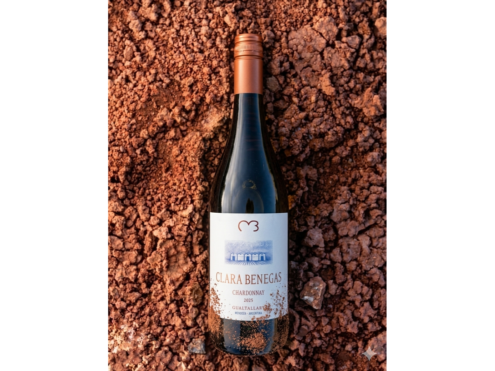 CLARA BENEGAS | Chardonnay
