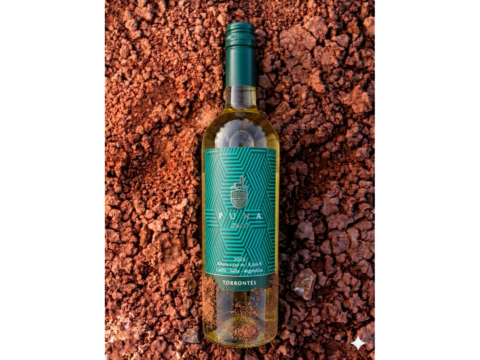 PUNA 2600 | Torrontes