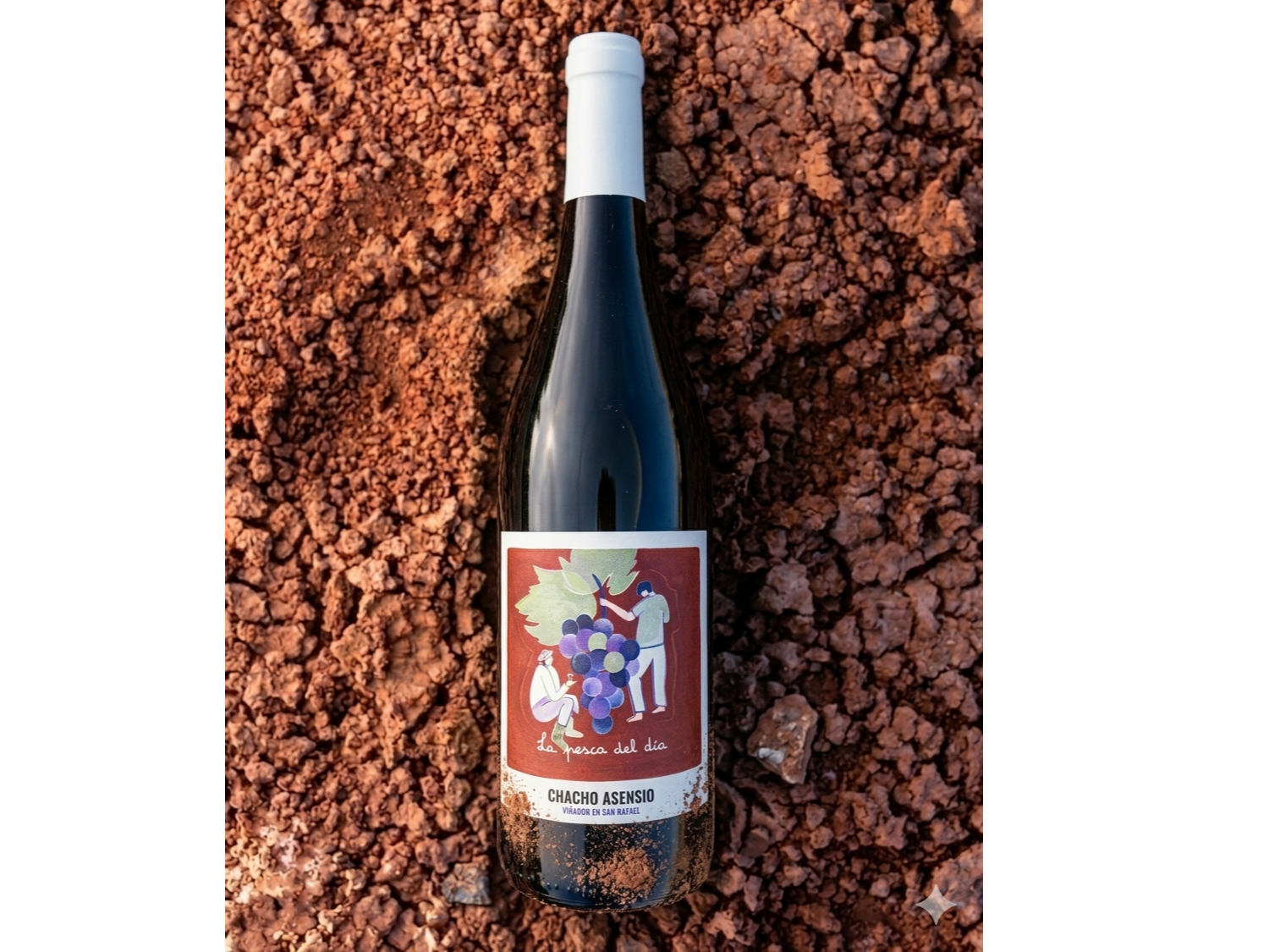 LA PESCA DEL DÍA | Malbec - Criolla Grande - Moscatel Rosado