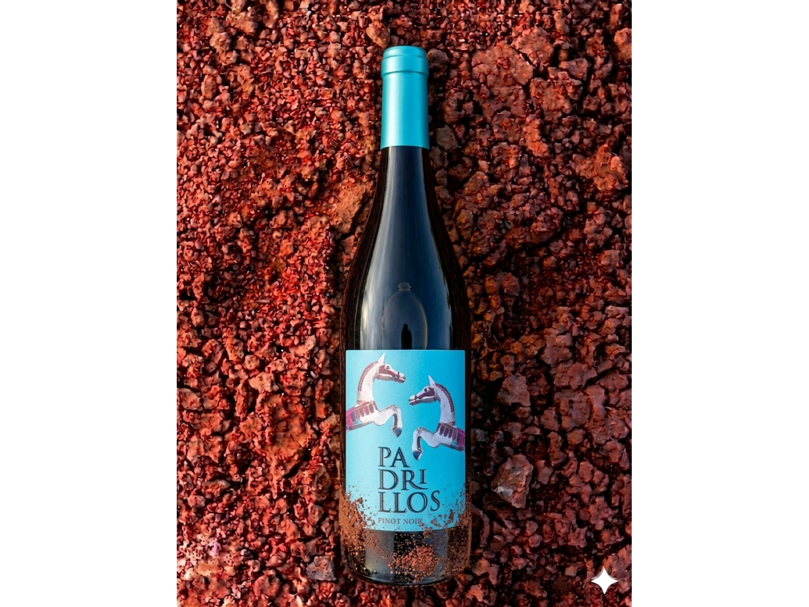 PADRILLOS | Pinot Noir