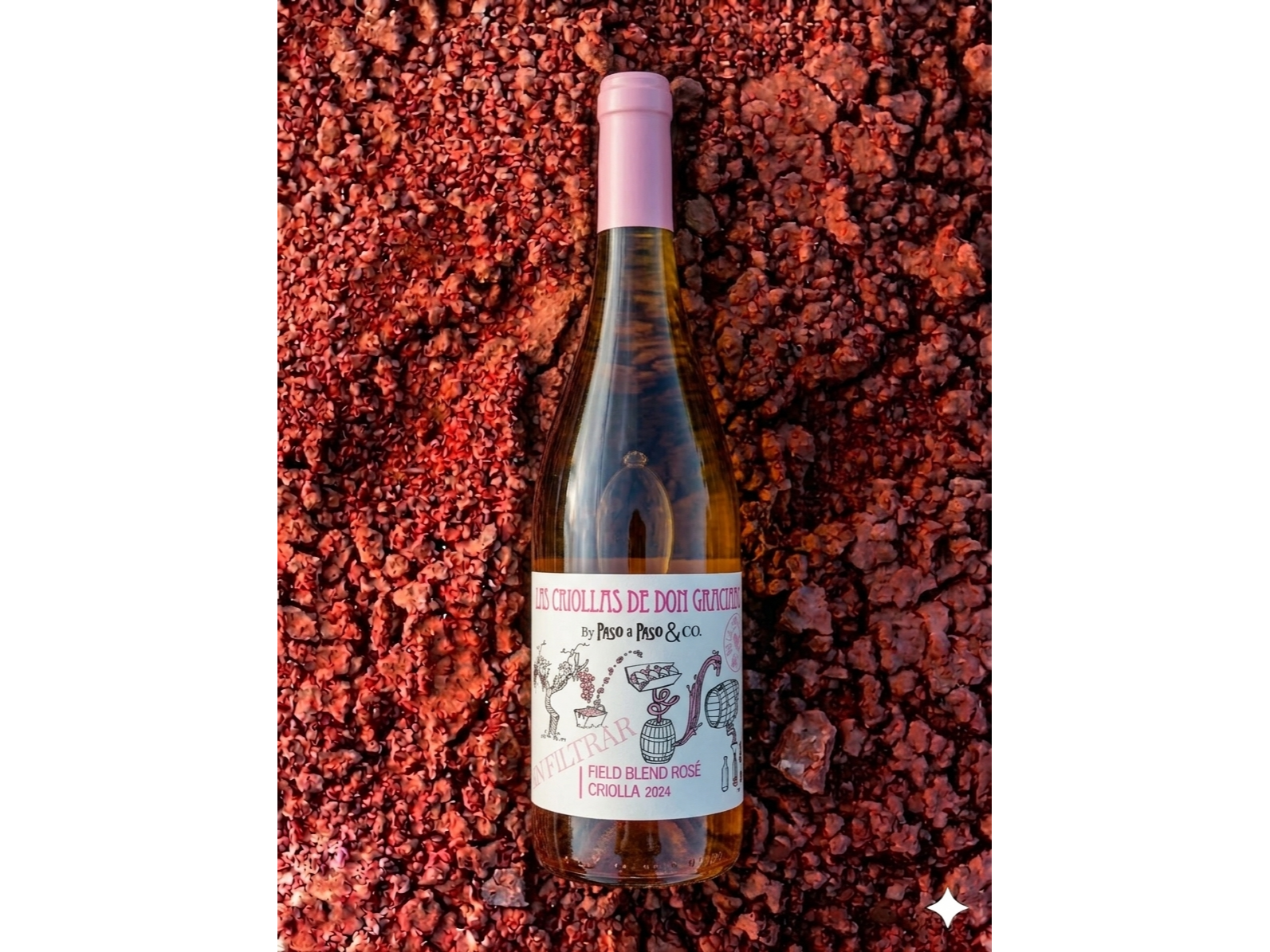 LAS CRIOLLAS DE DON GRACIANO | Rosado