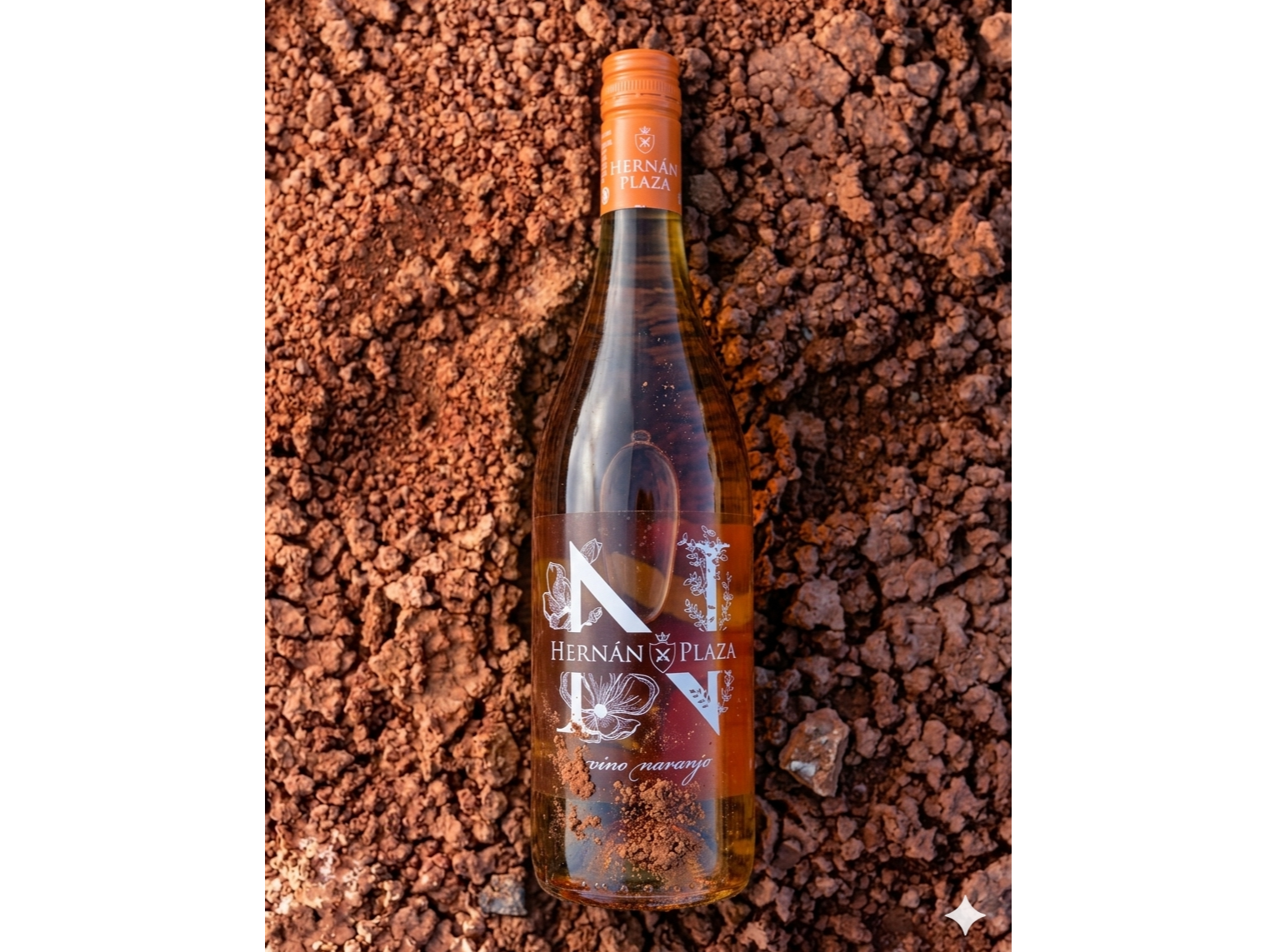 HERNAN PLAZA | Naranjo Moscatel