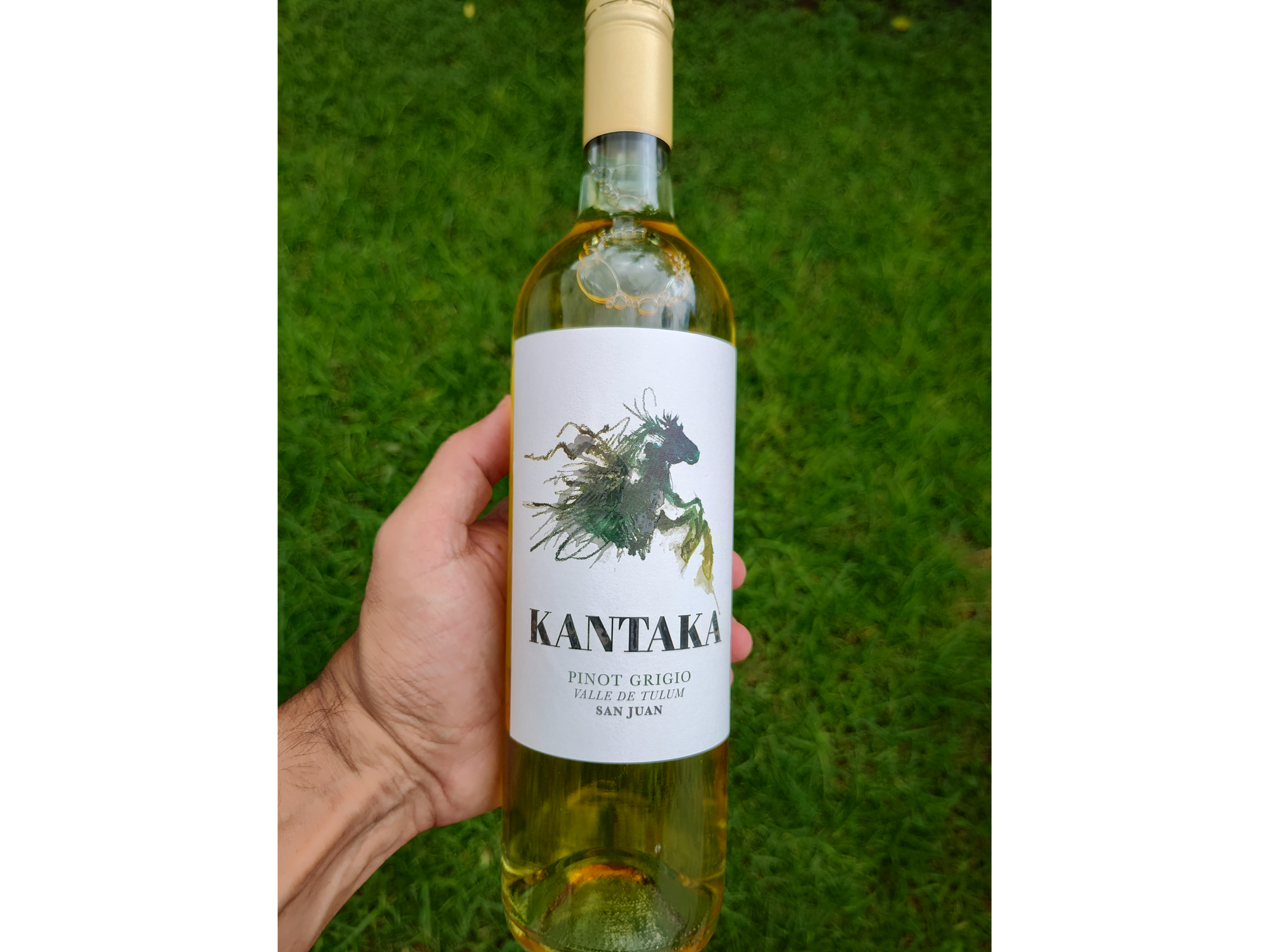 KANTAKA WINES | Pinot Grigio