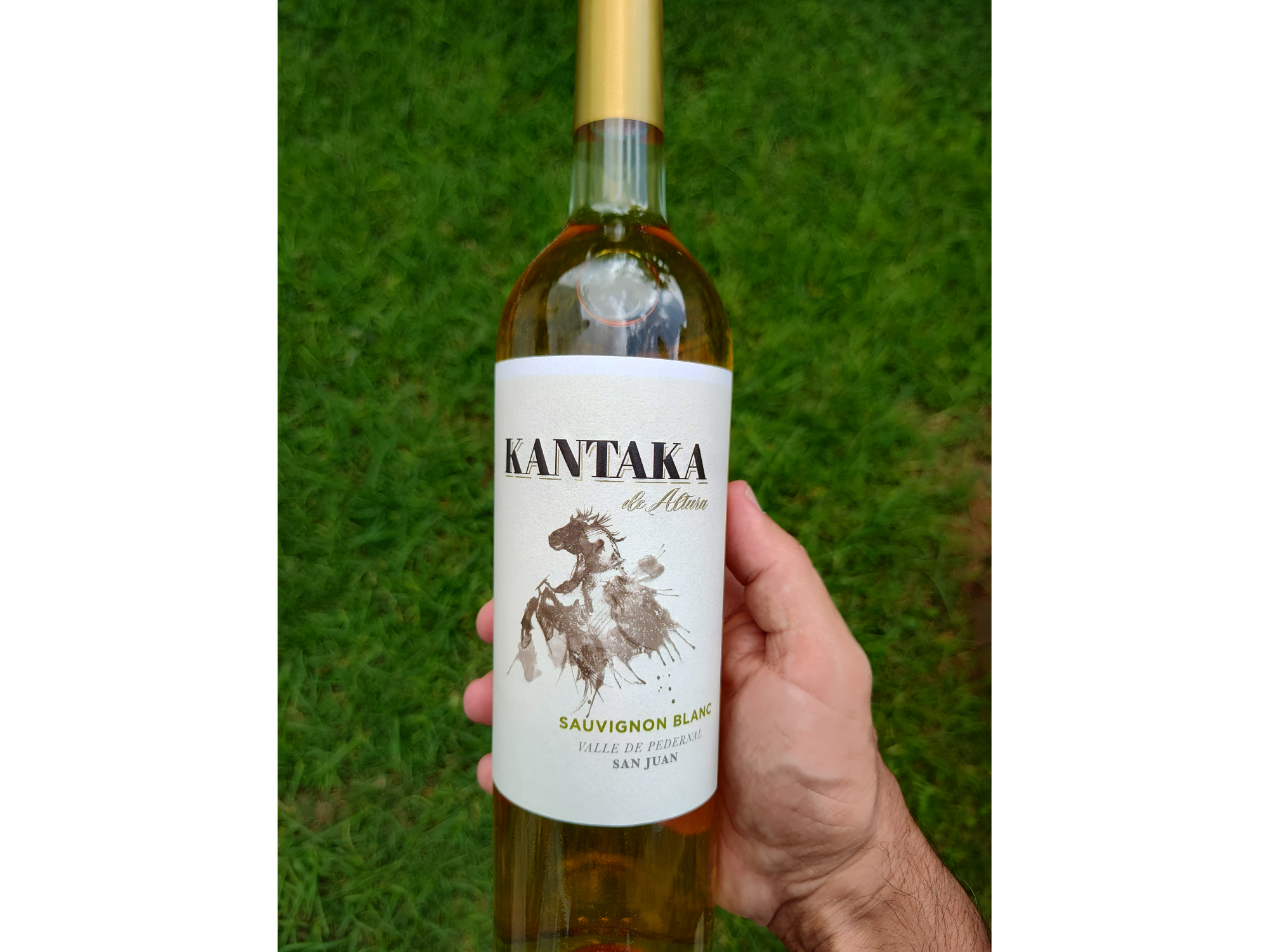 KANTAKA WINES | Sauvignon Blanc