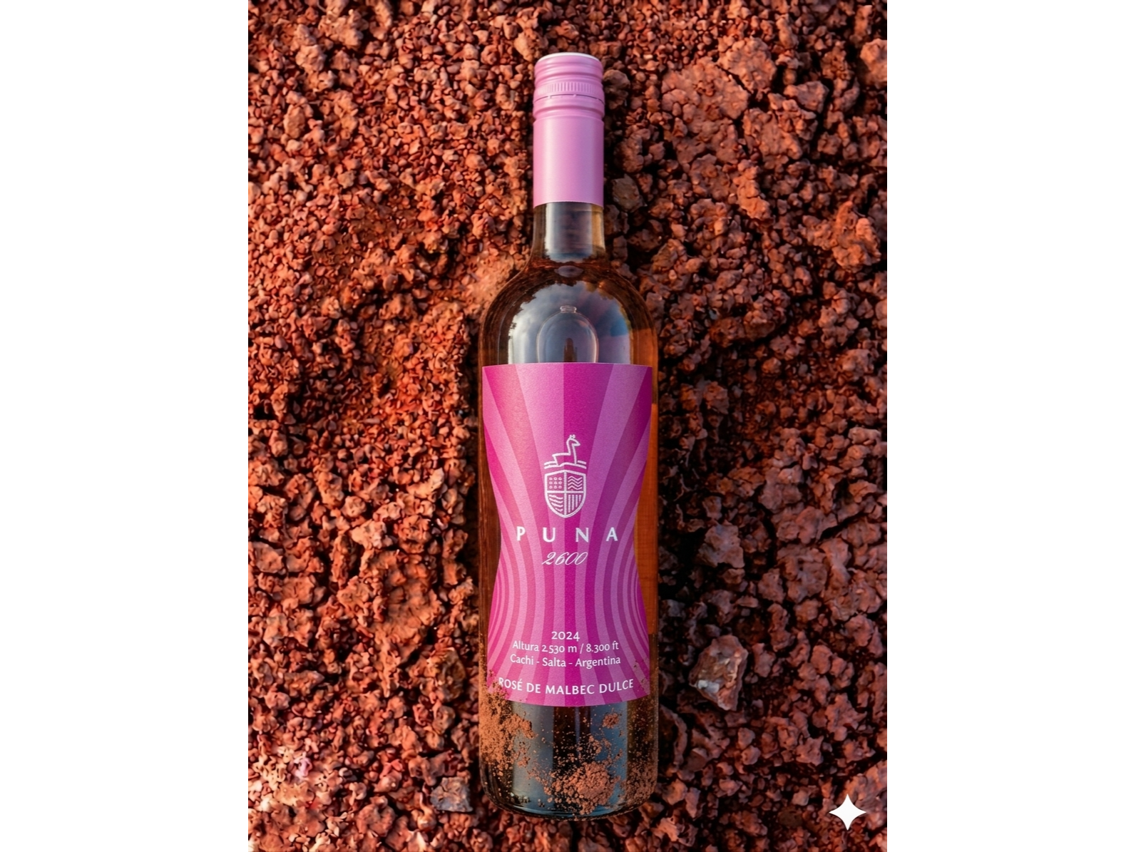 PUNA 2600 | Malbec Rosé Dulce
