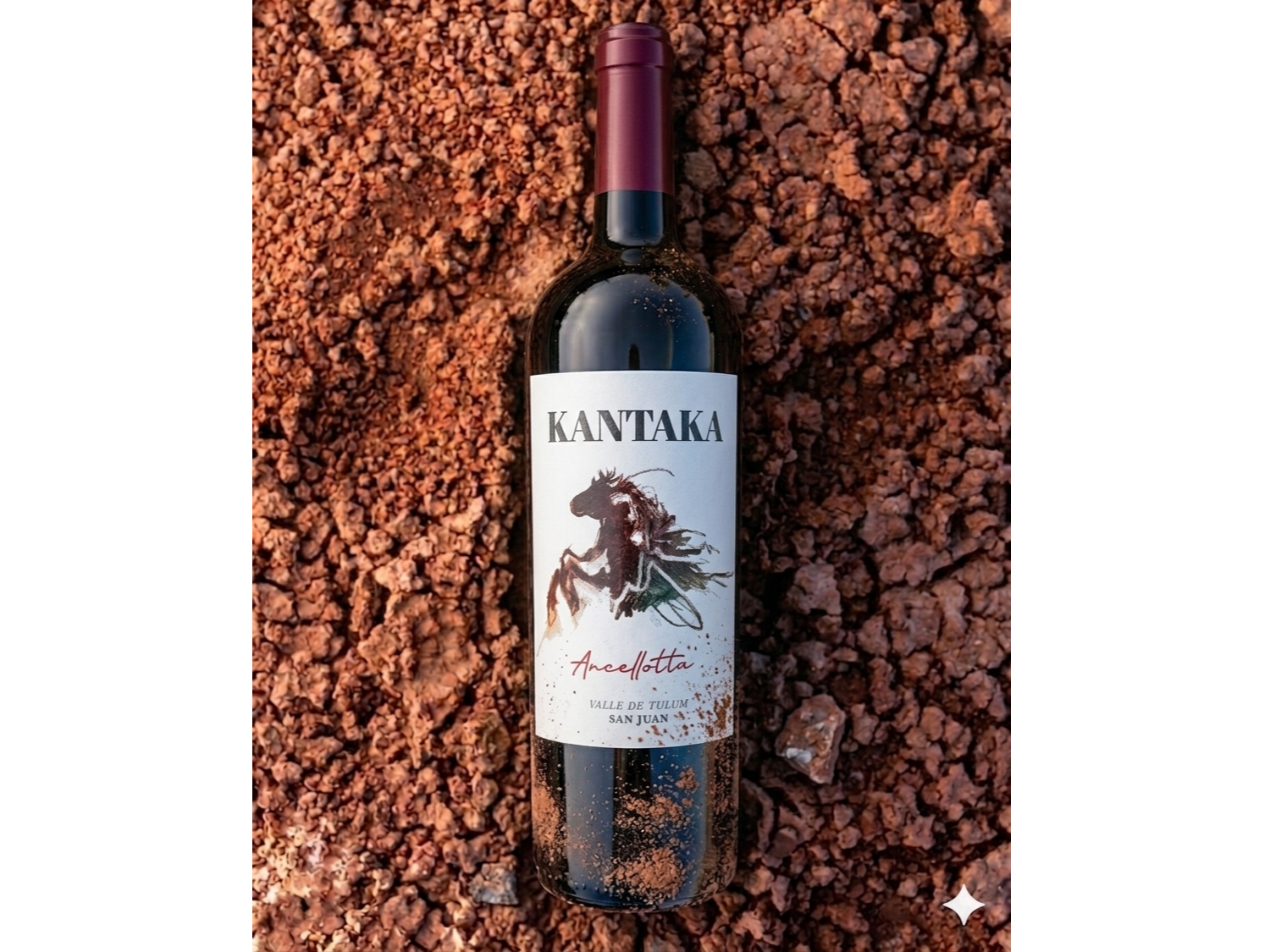 KANTAKA WINES | Ancellotta