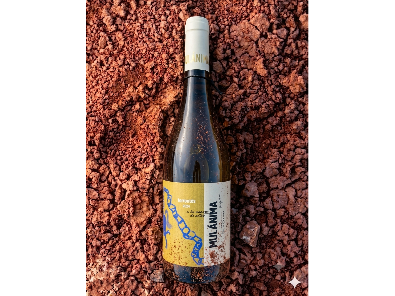 MULÁNIMA | Torrontés 24 meses en barrica