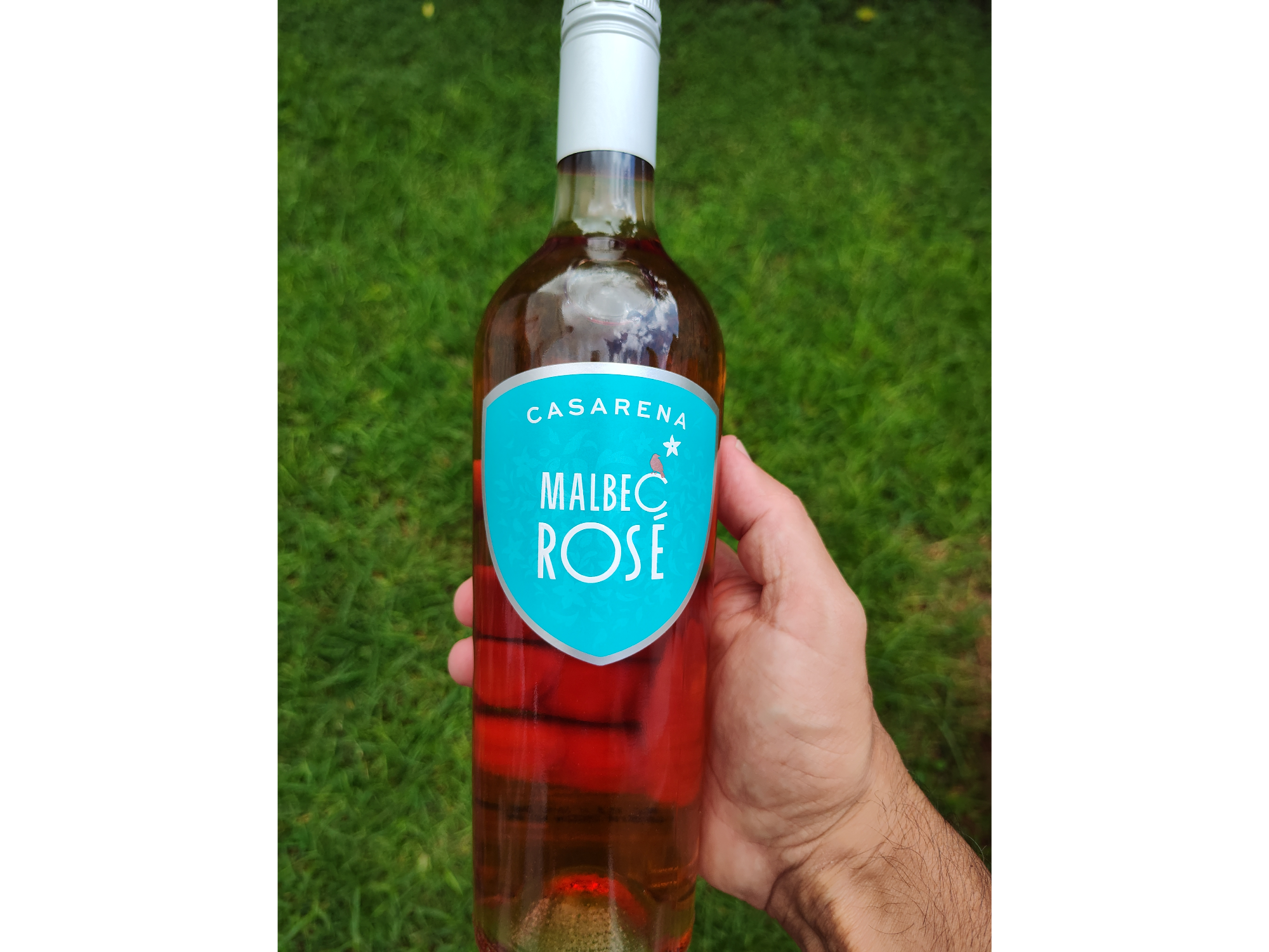 CASARENA | Rosado de Malbec