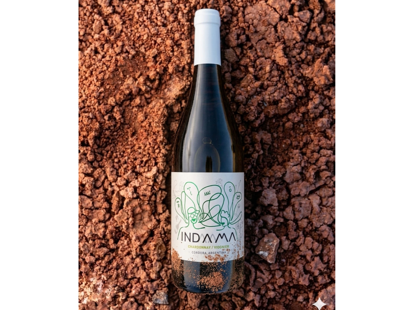 INDAMA| Chardonnay - Viognier