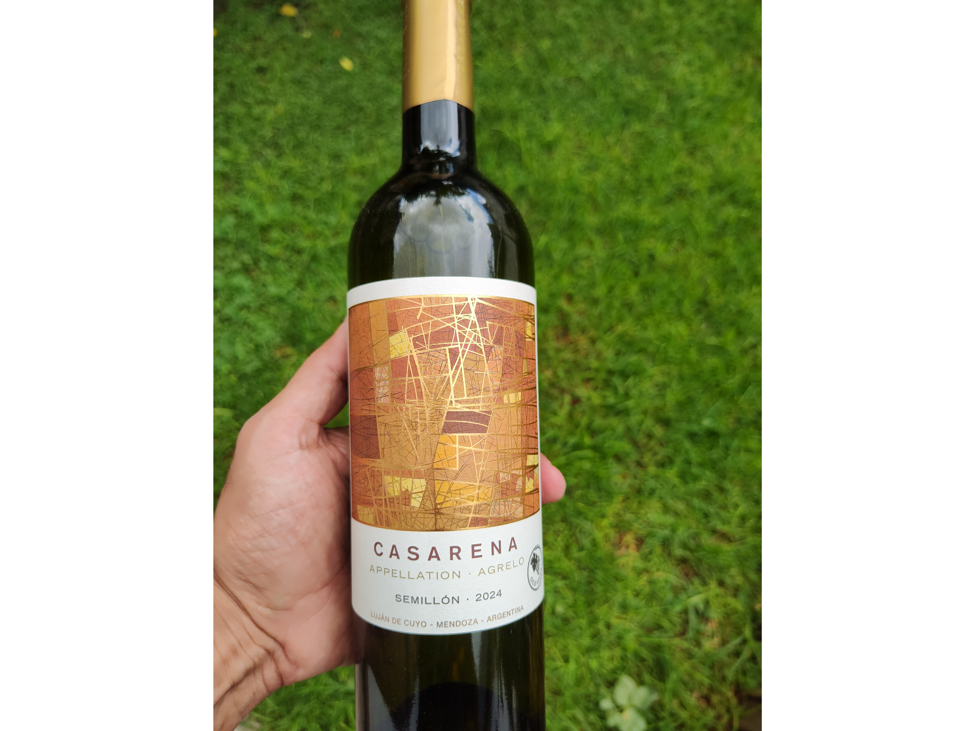 CASARENA APPELLATION | Semillon