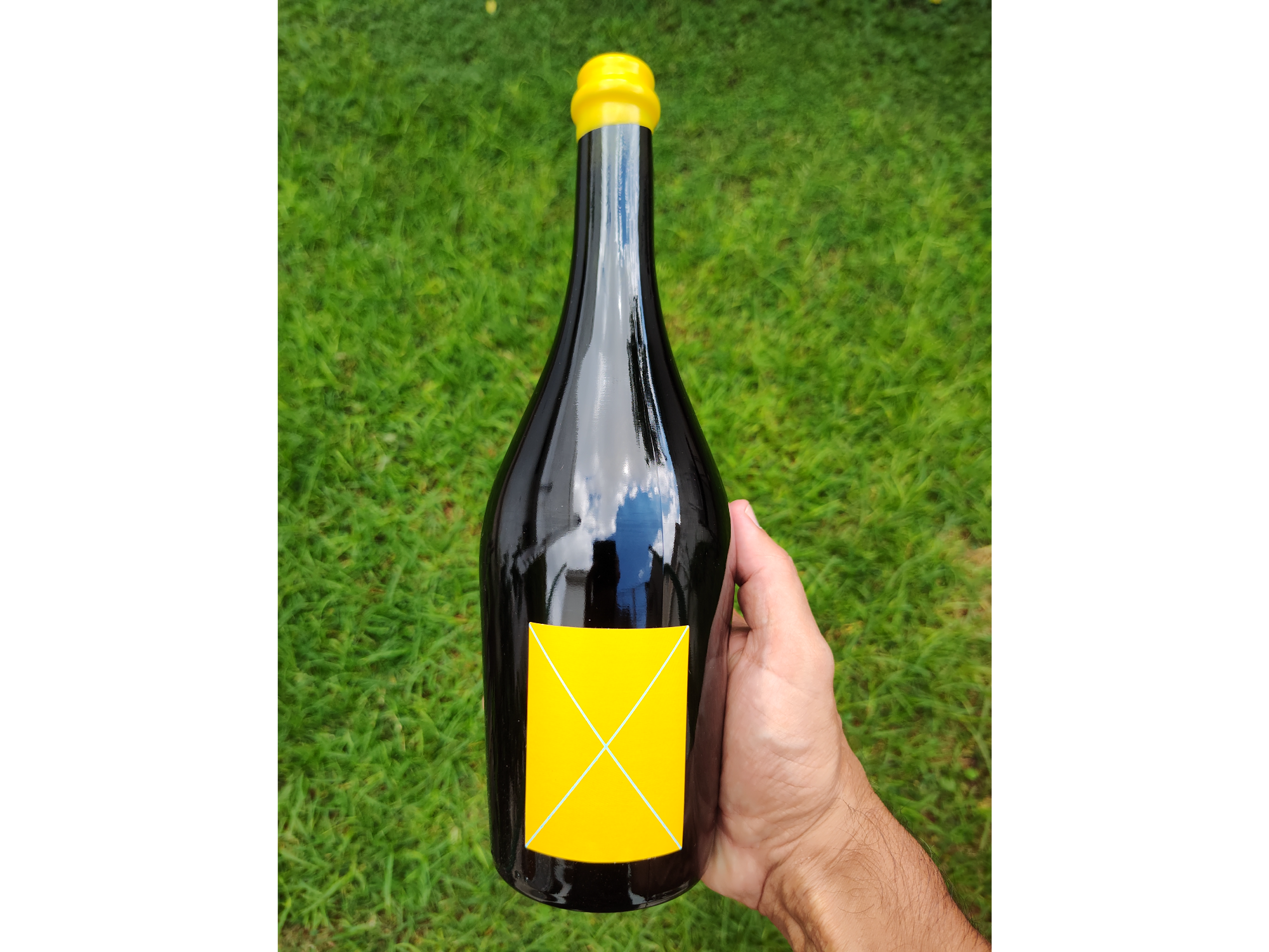 Club terruño | Te sorprendemos