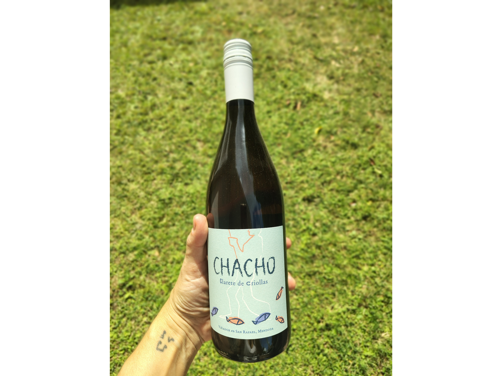 CHACHO ASENSIO | Cereza - Criolla Grande - Moscatel Rosado - Pedro Gimenez