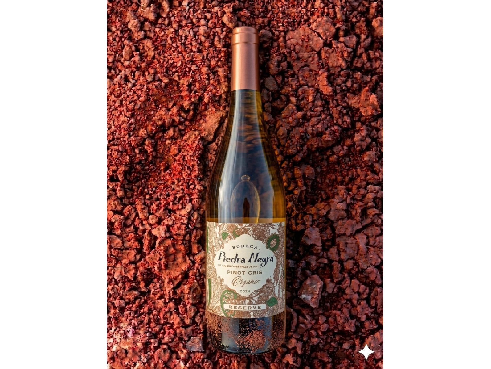 PIEDRA NEGRA | Pinot gris