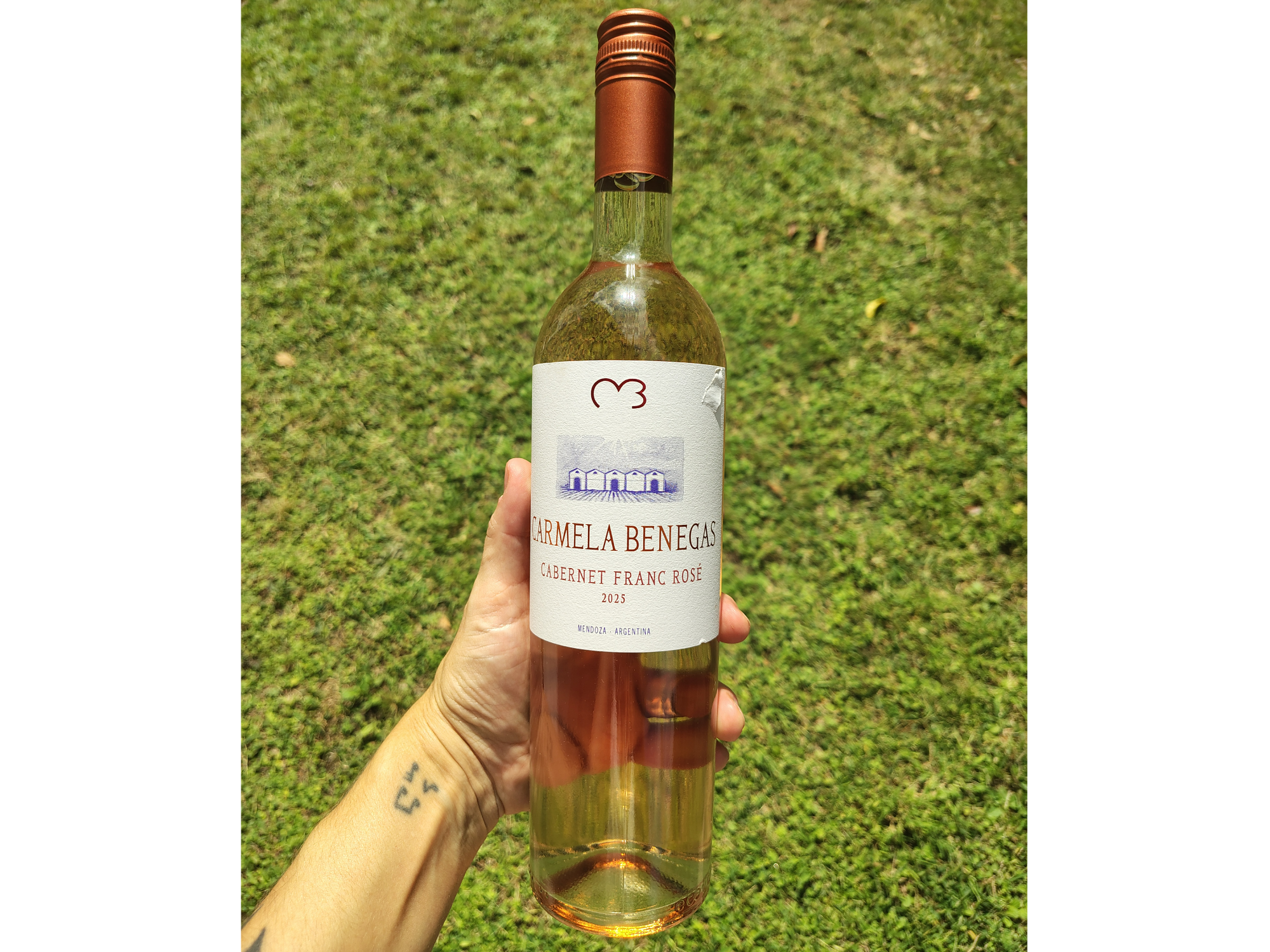 CARMELA BENEGAS | Cabernet Franc