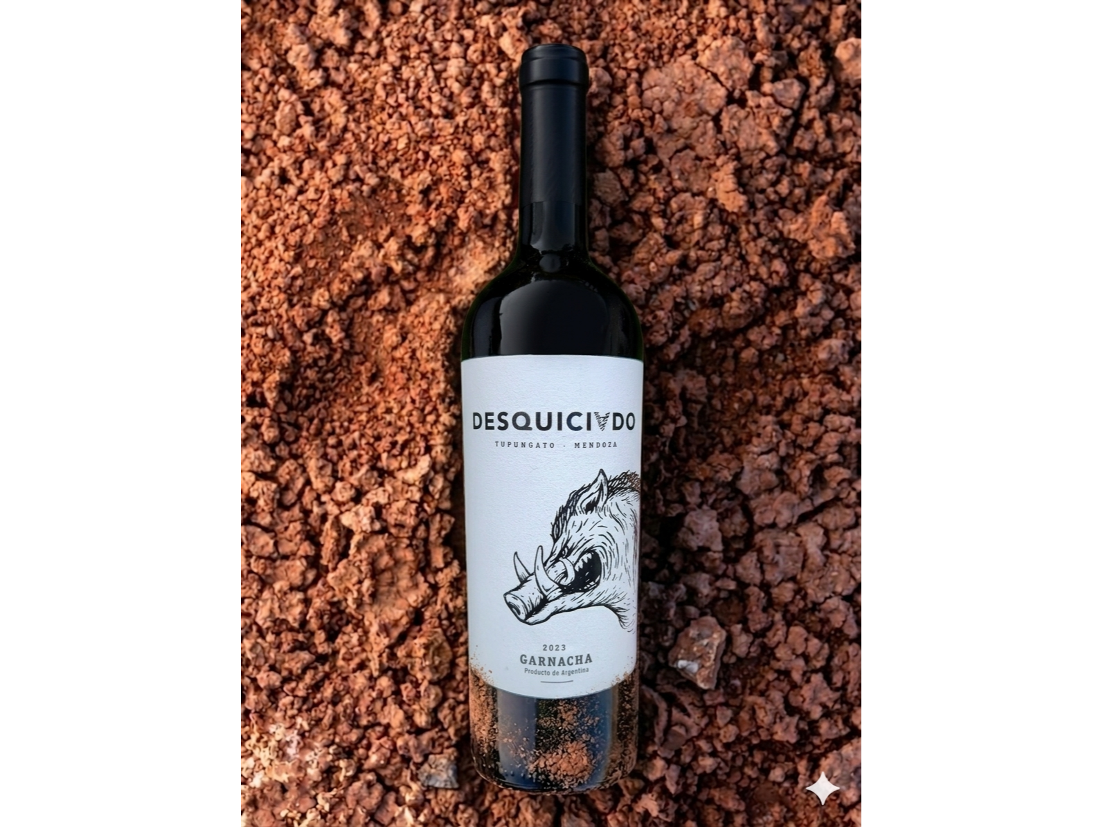 DESQUICIADO | Garnacha