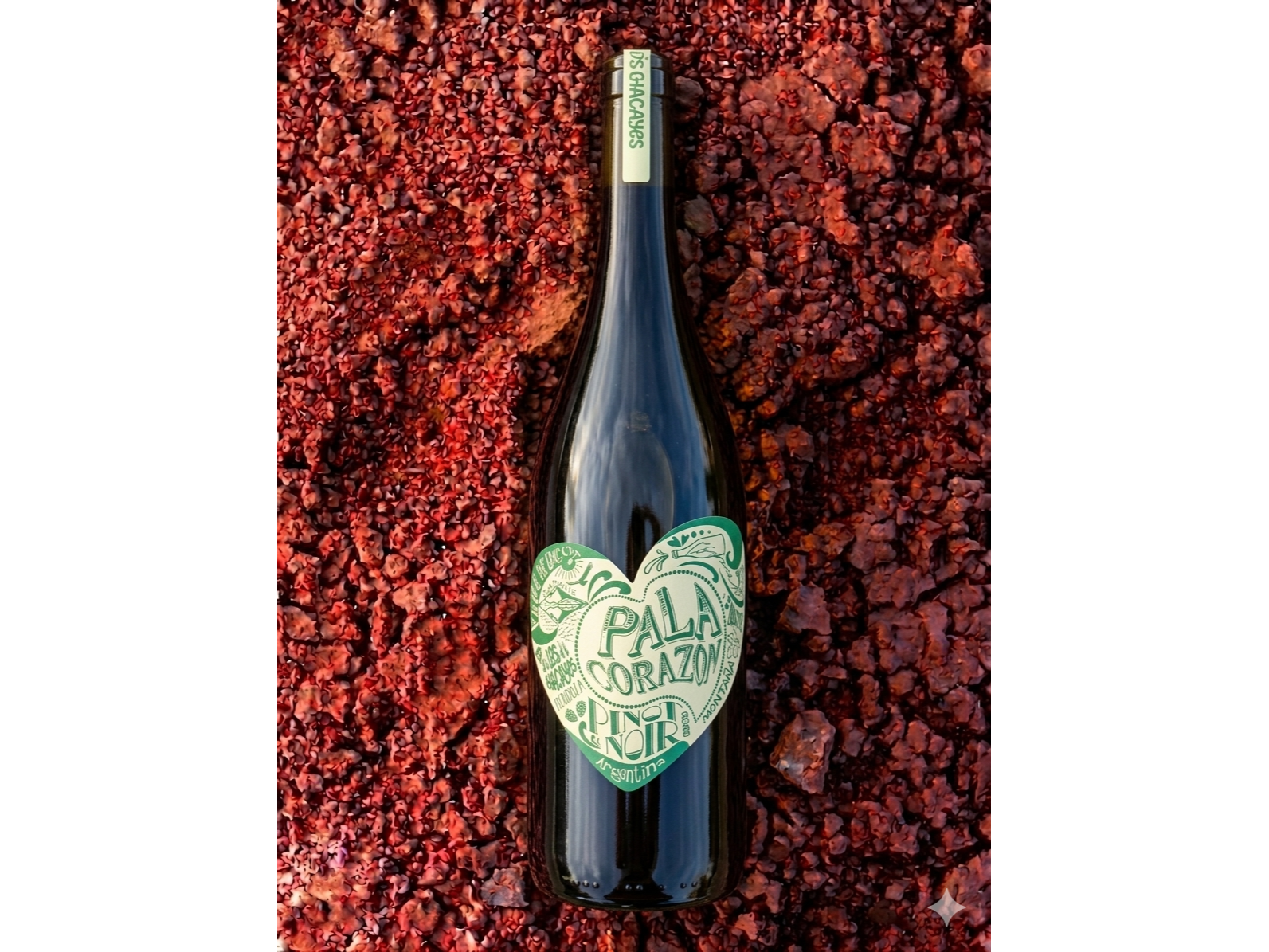 PALA CORAZÓN | Pinot Noir