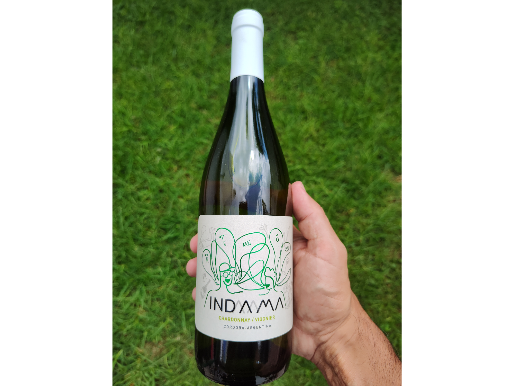 INDAMA| Chardonnay - Viognier
