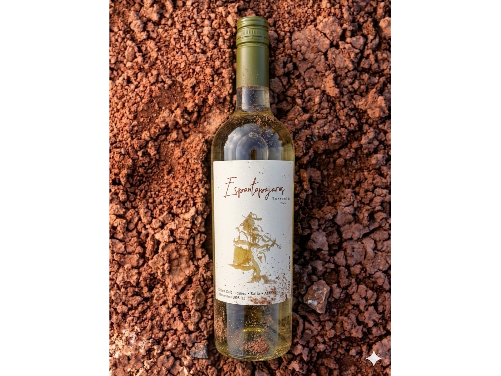 ESPANTAPAJAROS | Torrontes